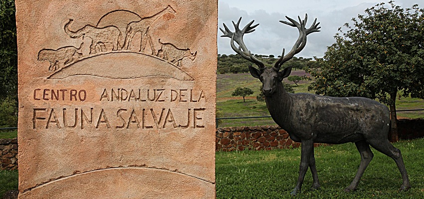 Centro Andaluz de la Fauna Salvaje 🐾 entradas con descuento ¡¡desde sólo 6,36€!!