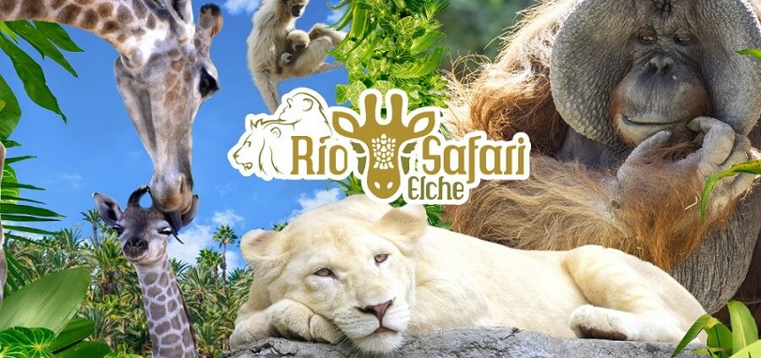 Oferta Río Safari Elche con transporte desde Benidorm + ✅ Cancelación Gratuita ✅
