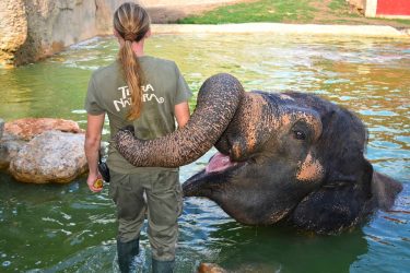 Descuento Terra Natura Benidorm -14€ por entrada. Cupón Terra Natura 14€ de descuento. Entradas Terra Natura Benidorm ofertas y descuentos 2x1 Terra Natura 2025. Descuentos Terra Natura Benidorm 2025. Entradas Terra Natura Benidorm 2x1. Terra Natura Benidorm precio Entrada de un día para niño o adulto a Terra Natura Benidorm con descuento desde sólo 18€ 2x1 Terra Natura 2025