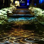 Naturaleza Encendida Raíces en Córdoba - Jardines del Alcázar de los Reyes Cristianos